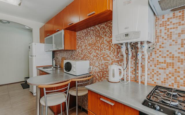 Apartments on Pushkin street 14