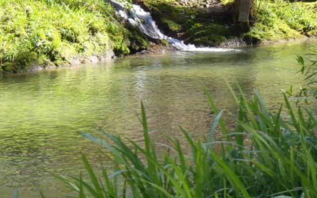 Blackberry Hill Farm