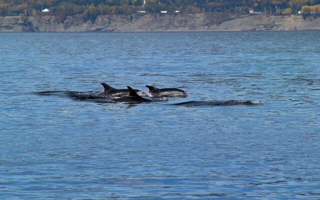 Restaurant Motel L'Étoile du Nord