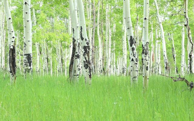 Villas At Walton Creek 1404