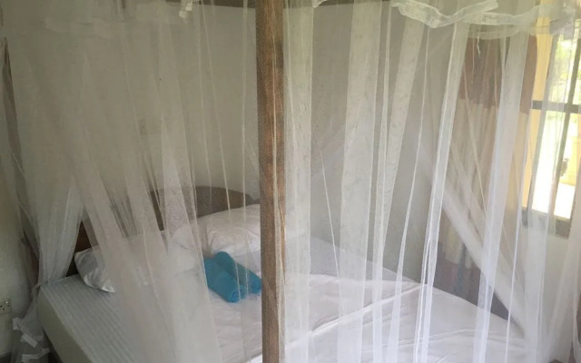 Villa Coconut - Hostel