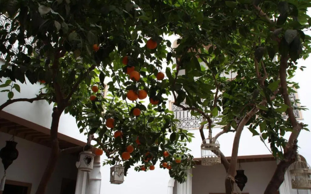 Riad Les Orangers d'Alilia