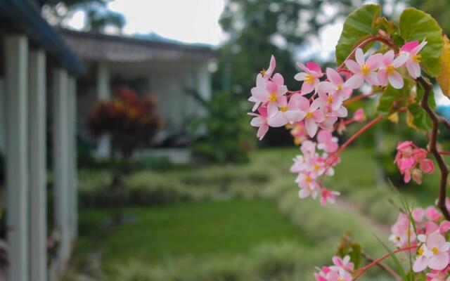 De La Vega Hotel Campestre