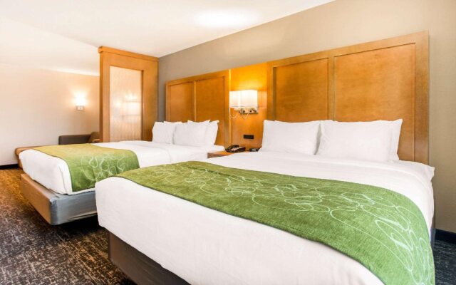 Comfort Suites North Charleston - Ashley Phosphate