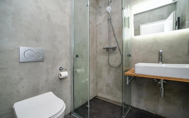 Big 4-bedroom flat, terrace with great Vítkov view