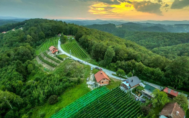 Vineyard cottage Matej