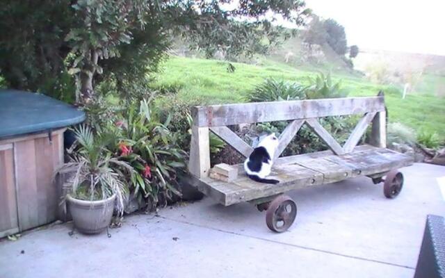 Miranda Sea View Apartment