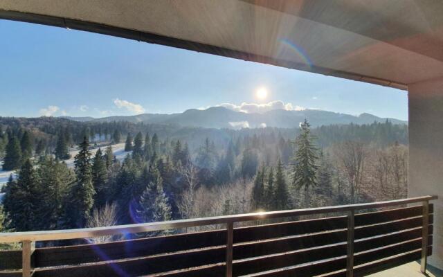 Silver Mountain Panoramic View G1 48