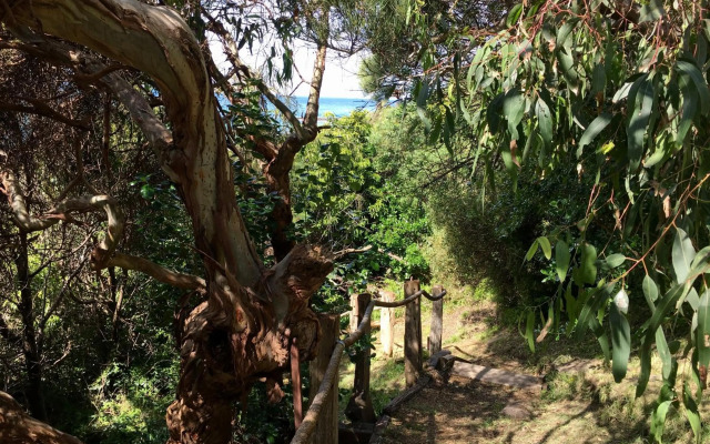 Y Vue - Beachside Apartment with Ocean Views