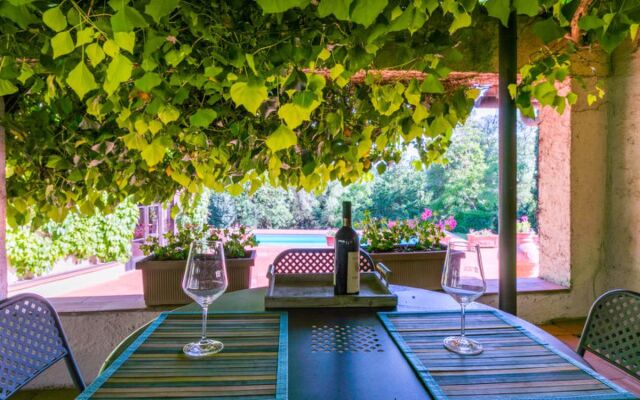 Bardeggiano - Caterina 5 (COL241)