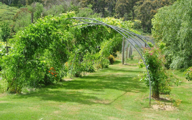 Hamlet Downs Country Accommodation