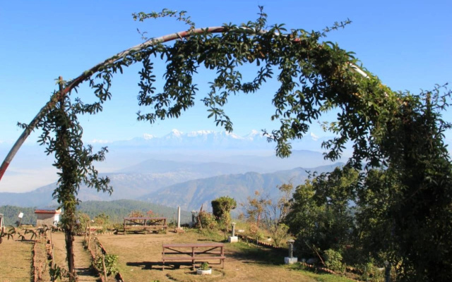 Vineet Homestay