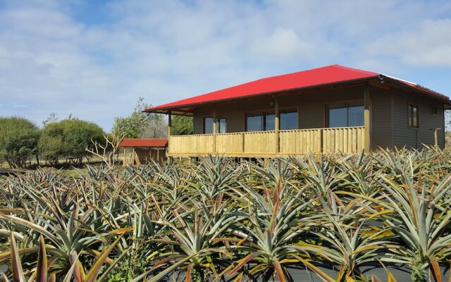 Maunga roa eco lodge