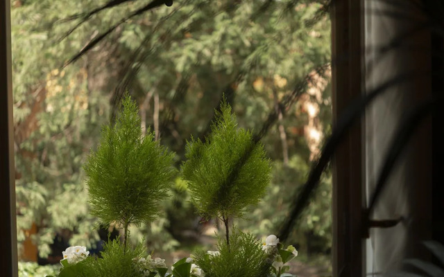 Butterfly Boutique Rooms