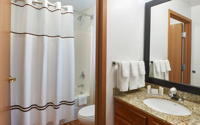 TownePlace Suites by Marriott Minneapolis Downtown/NorthLoop