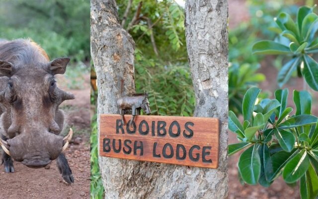 Rooibos Bush Lodge