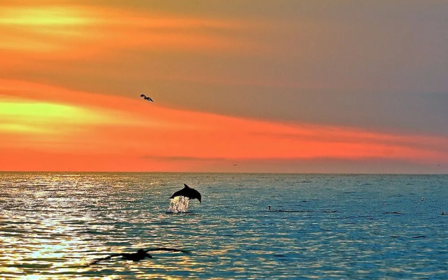 Seacrest 702 by RedAwning