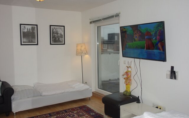 Tolstov-Hotels Big Room Apartment