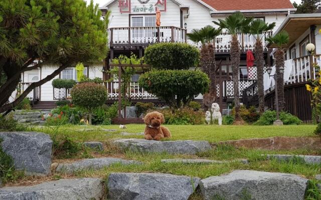 Haemaru pension