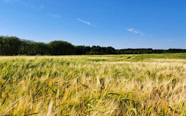 Gunderupholm Apartments