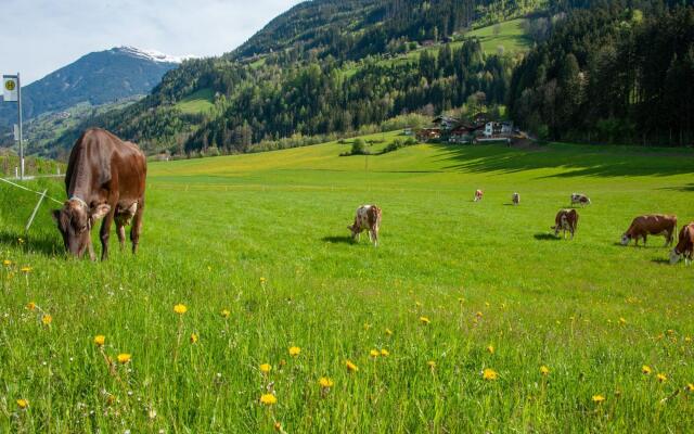 Wooden Apartment in Hainzenberg near Ski Bus