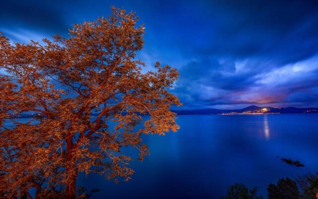 Centro e Spiaggia ambra