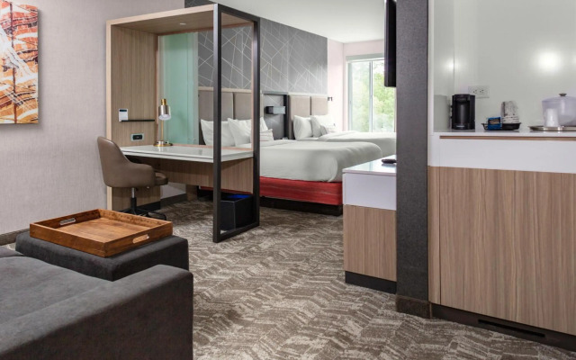 SpringHill Suites by Marriott Atlanta Alpharetta/Roswell