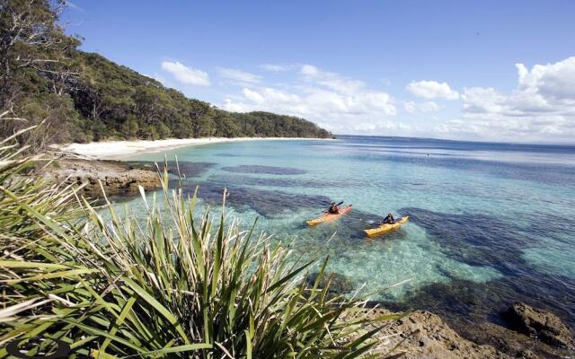 Paperbark Camp