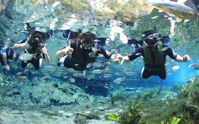 Bonito Hi Hostel e Pousada