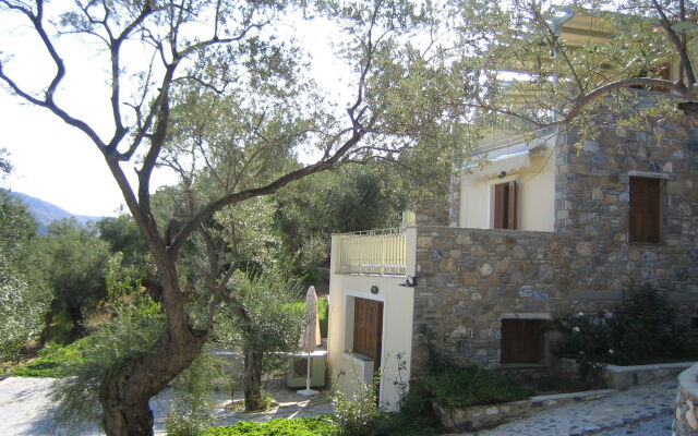 Gera's Olive Grove