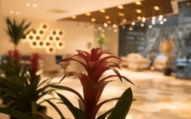 one hotel