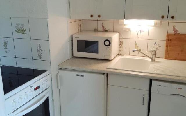 Appartement Les Deux Alpes, 1 pièce, 4 personnes - FR-1-516-51