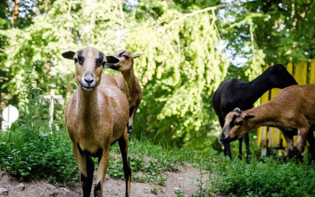 Wallfahrts-Gaststätte Heilbrünnl