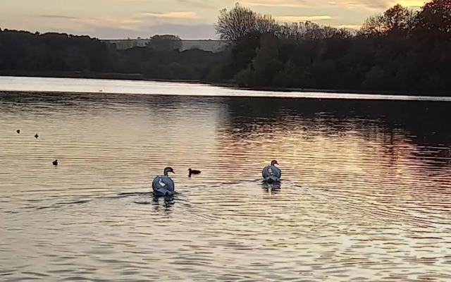 Cosy Flat in a Pretty Town.