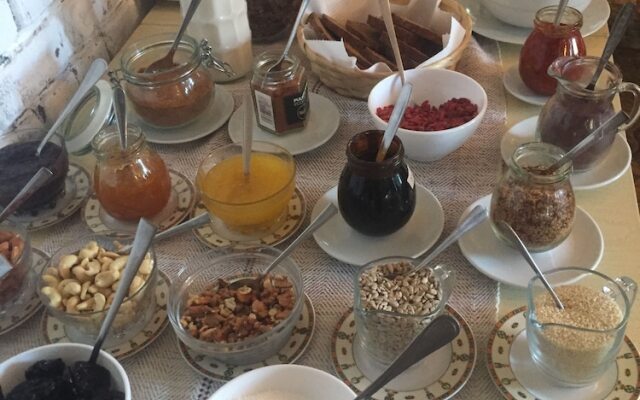 Akasha Wellness Retreat- Adults only