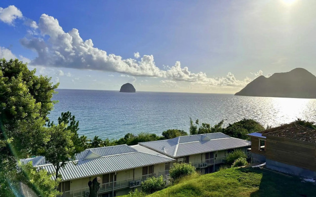 Studio Jungle Diamond