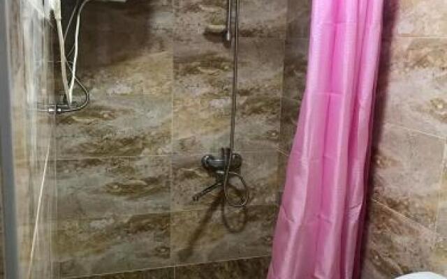 Guesthouse "Girgvliani"
