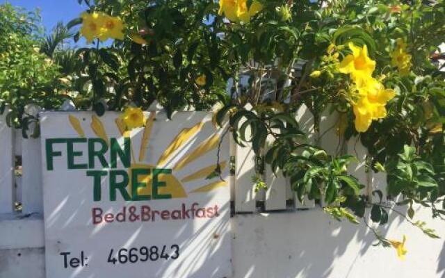 Fern Tree Bed and Breakfast