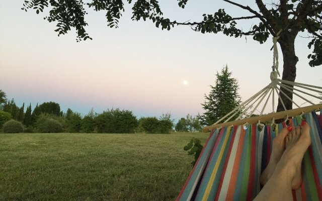 Peaceful Cottage with Swimming Pool in Fayssac France