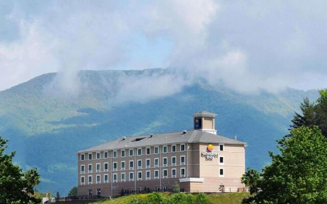 Comfort Inn Sylva - Cullowhee