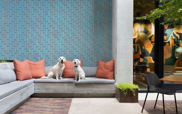 Canopy by Hilton Austin Downtown