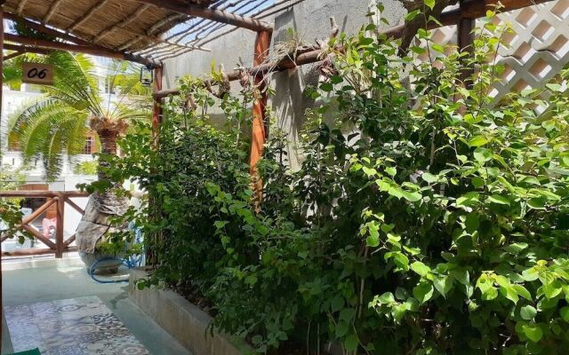 Long Homestay Phu Yen