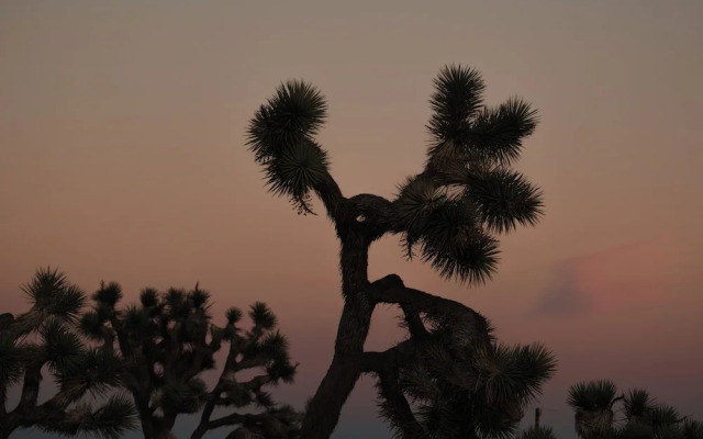 RESET Hotel Joshua Tree