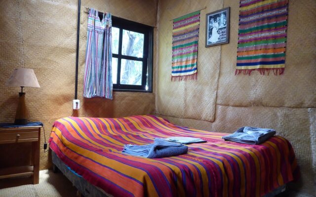 La Iguana Perdida - Hostel