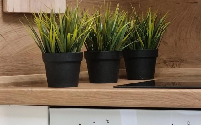 Old Town City Center Apartment