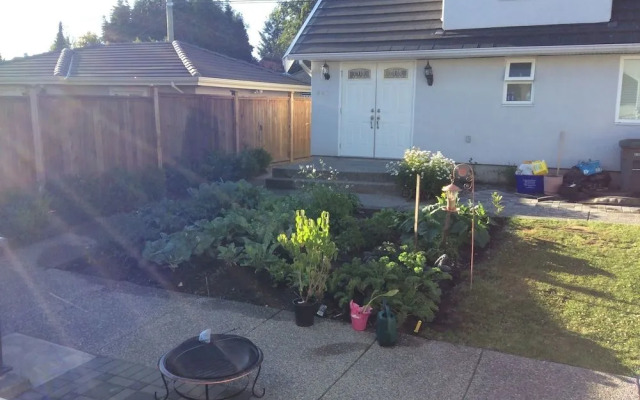 White House Bed and Breakfast