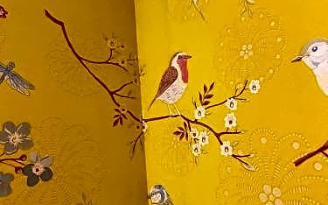Room Inn Shanghai 横浜中華街 Room1-B