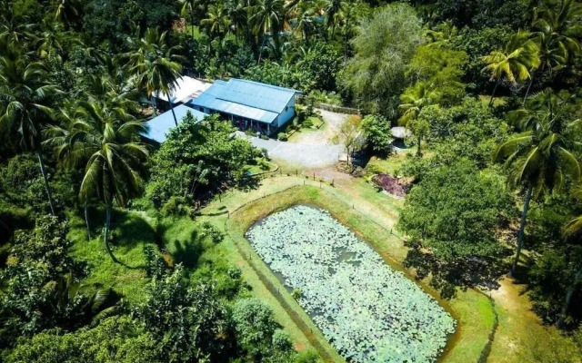 Avian Garden Udawalawe