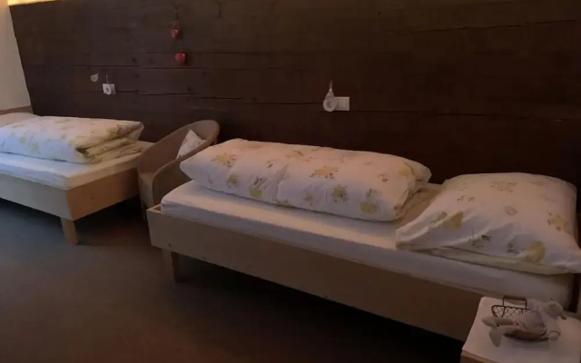 Holiday Home Geser Comfortable Vacation Home