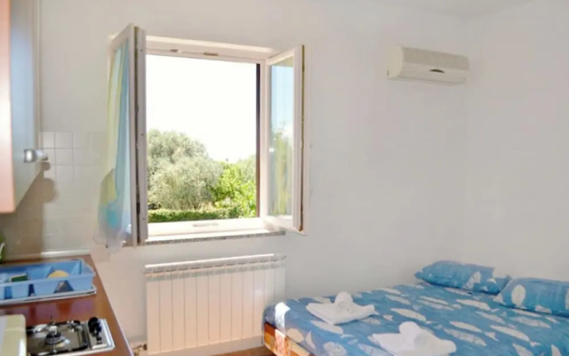 Apartment With Terrace and Garden Access